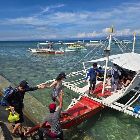 Cherepakha Dive Moalboal Bagian luar foto