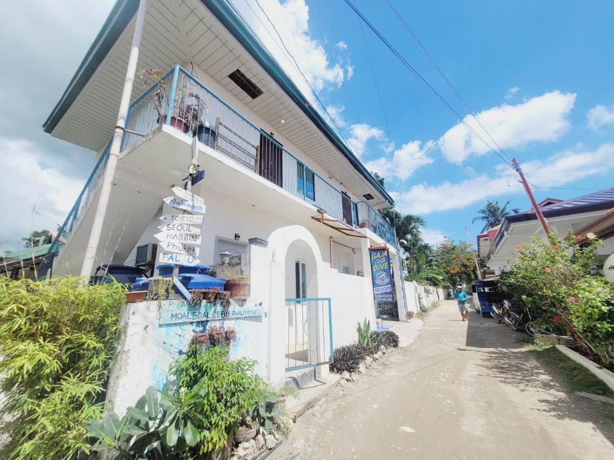 Cherepakha Dive Moalboal Bagian luar foto
