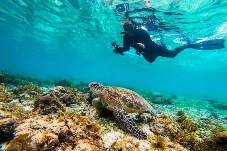 Cherepakha Dive Moalboal Bagian luar foto