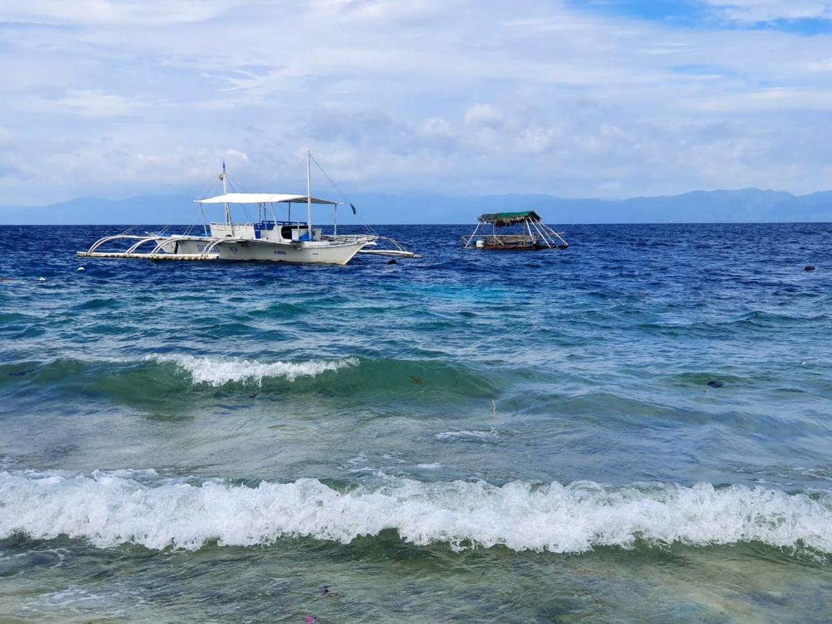 Cherepakha Dive Moalboal Bagian luar foto